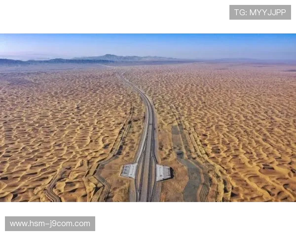 聚焦乌海足球联赛赛季战绩全景解析与精彩瞬间深度回顾报道集精编 聚焦乌海足球联赛赛季战绩全景解析与精彩瞬间深度回顾报道集精编